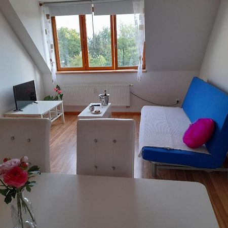 Riegrova Apartment Чешка Будьовица Екстериор снимка
