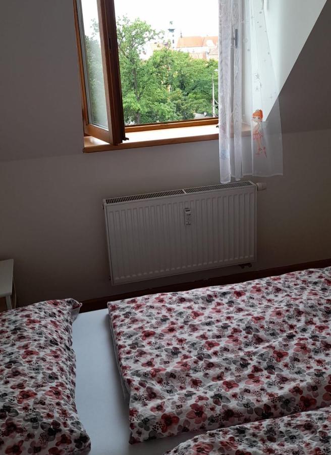 Riegrova Apartment Чешка Будьовица Екстериор снимка