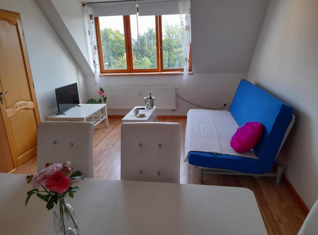 Riegrova Apartment Чешка Будьовица Екстериор снимка